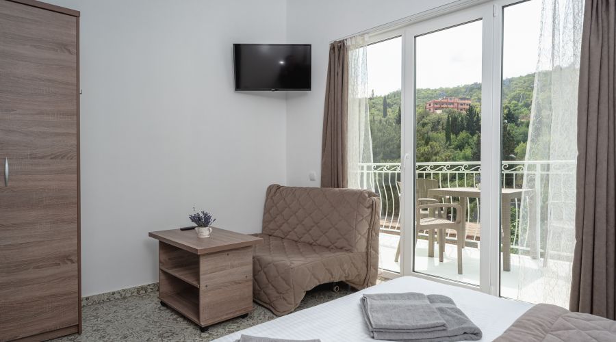 Апартаменты 2-местный 1-комнатный с видом на горы и парк