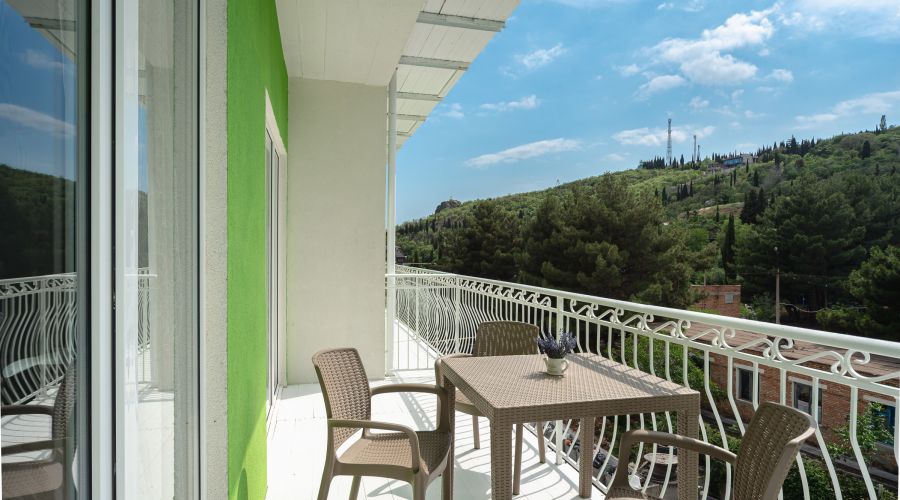 Апартаменты 2-местный 1-комнатный с видом на горы и парк